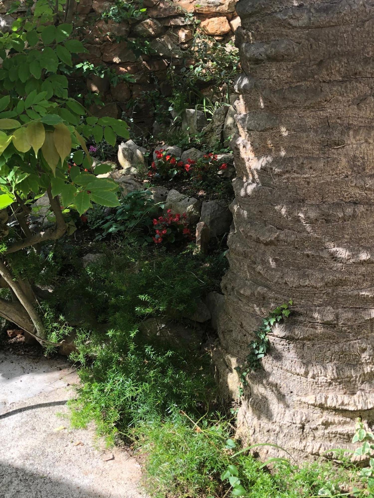 Apartments Veli Lošinj Eksteriør billede