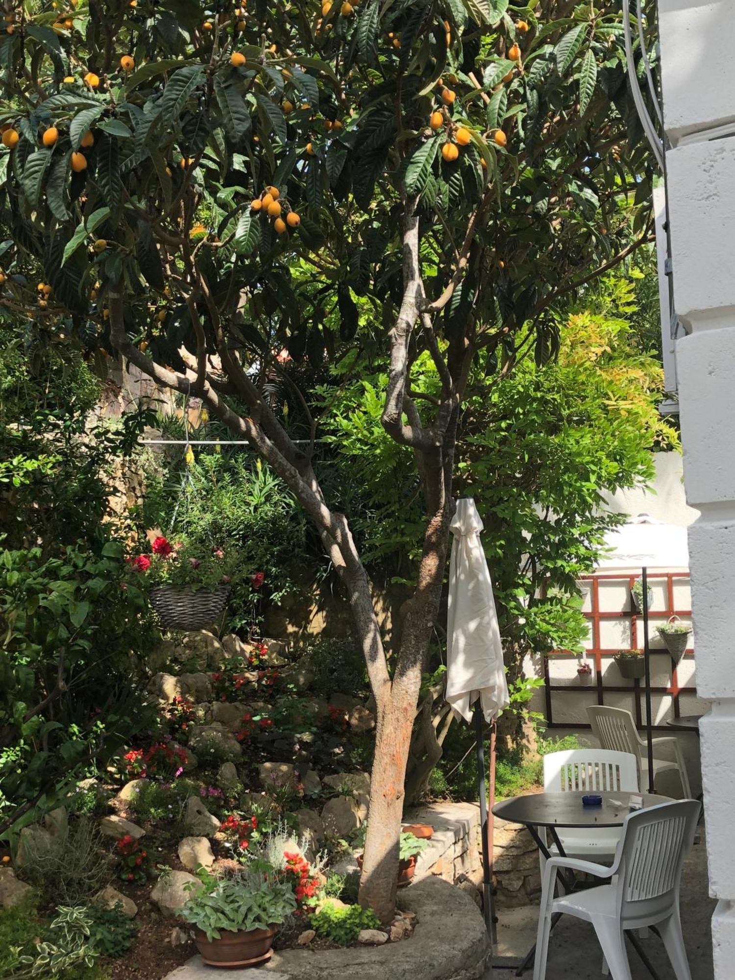 Apartments Veli Lošinj Eksteriør billede