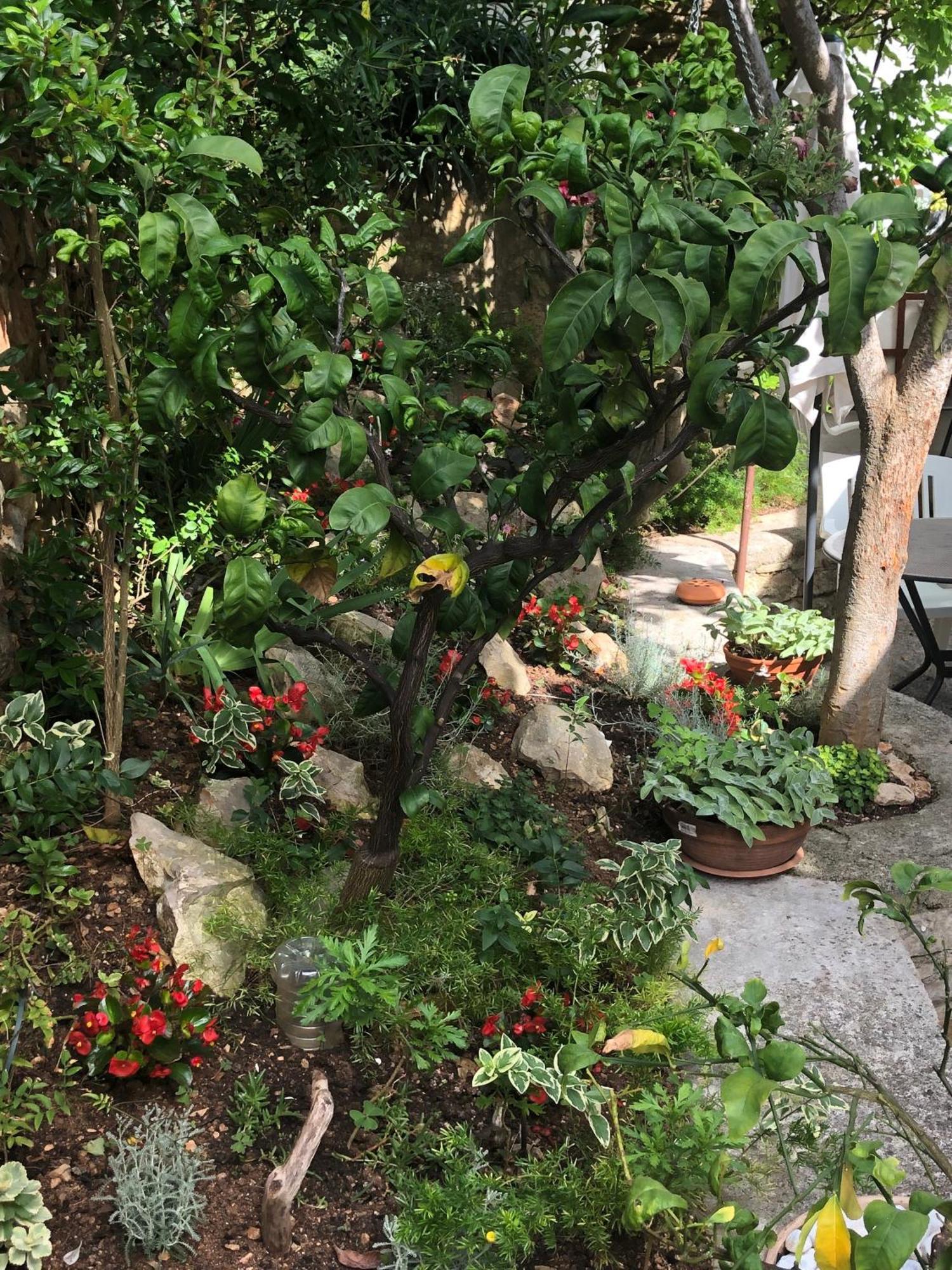 Apartments Veli Lošinj Eksteriør billede