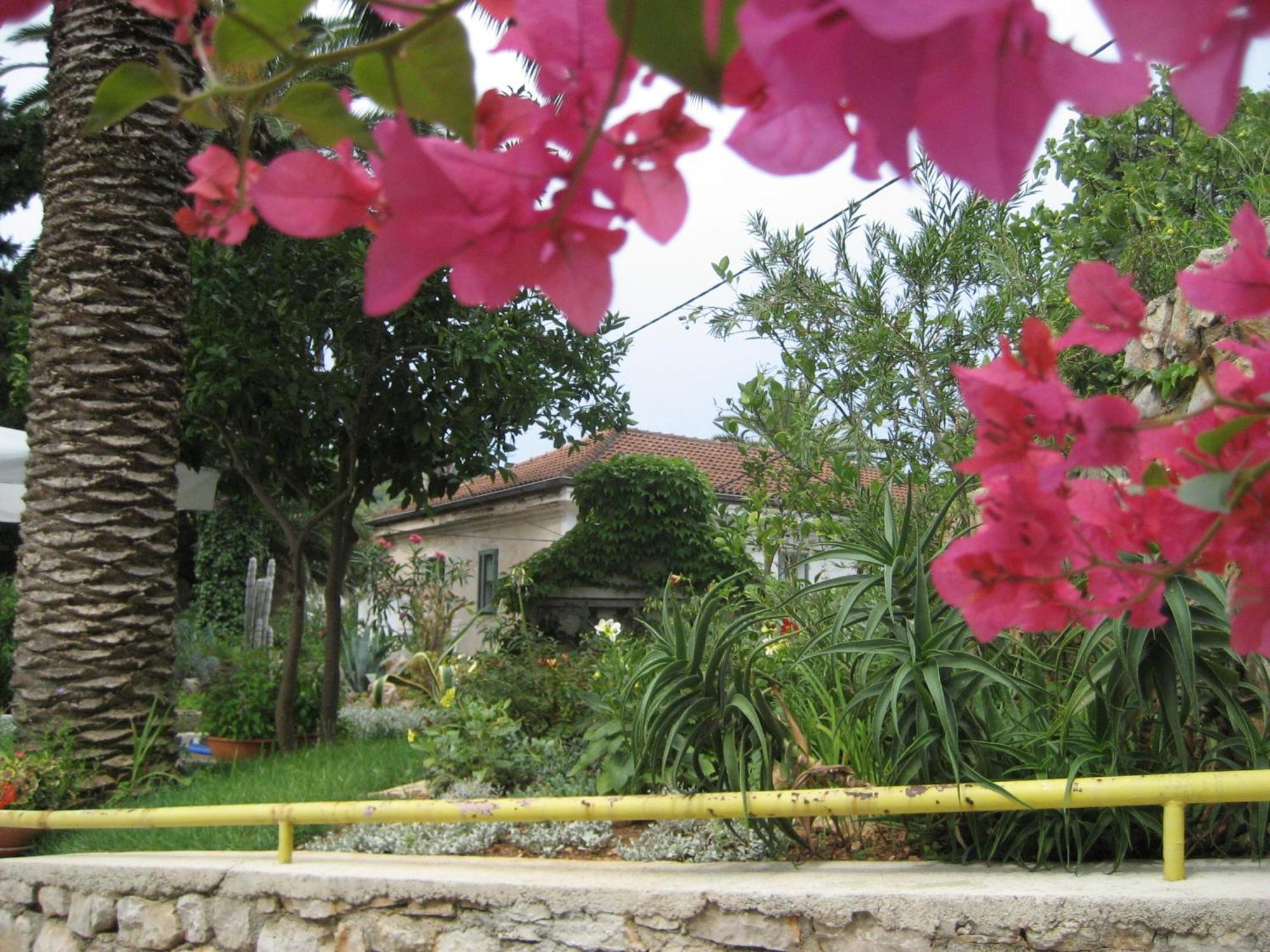 Apartments Veli Lošinj Eksteriør billede