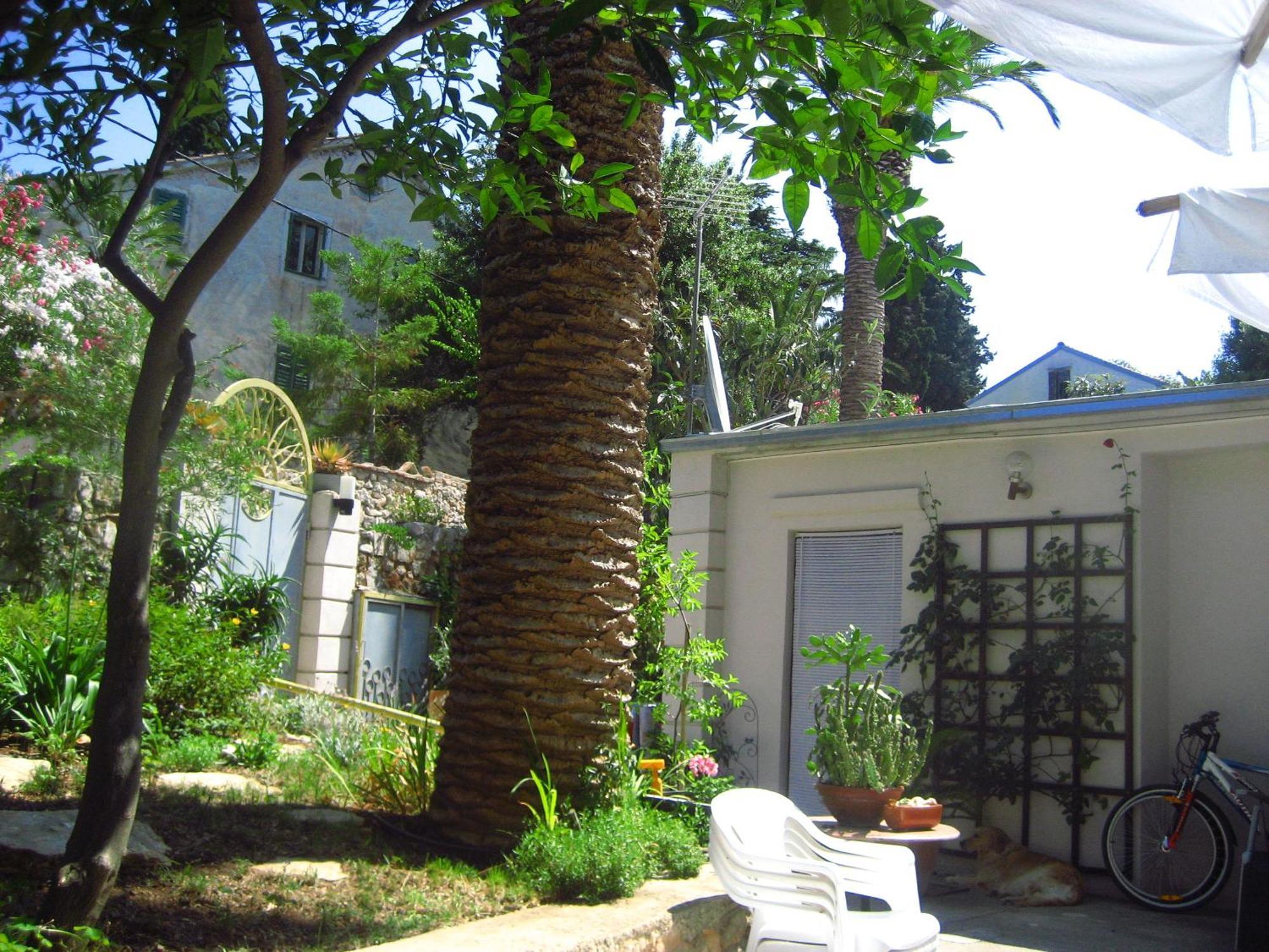 Apartments Veli Lošinj Eksteriør billede
